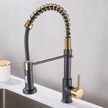 Torneira Cozinha Gourmet Monocomando Com Spray Extensor